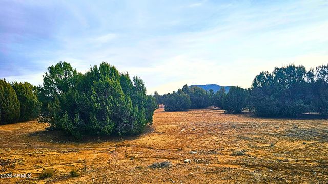 55 N COUNTRY Lane, Concho, AZ 85924