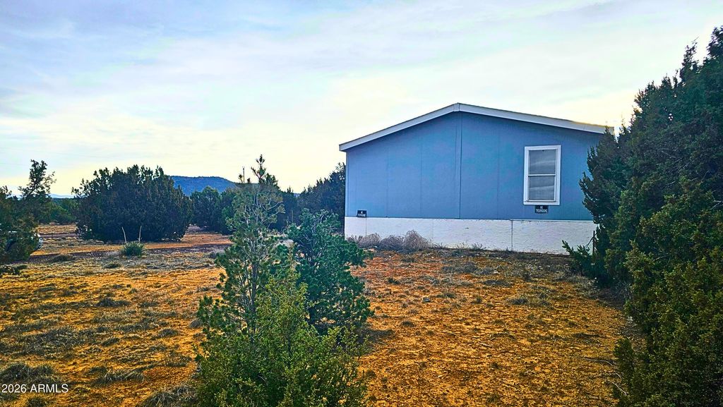 55 N COUNTRY Lane, Concho, AZ 85924
