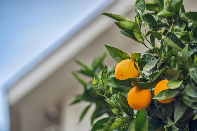 174 Villa Avenue, Los Gatos, CA 95030