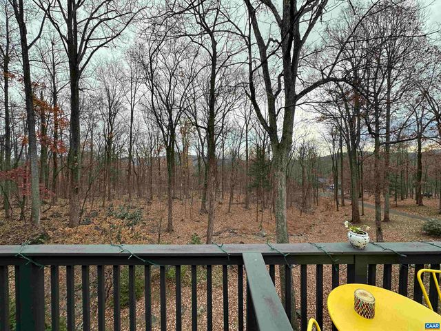 423 FOOTHILLS DR, Nellysford, VA 22958