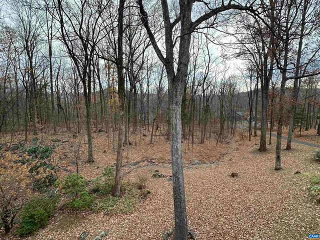 423 FOOTHILLS DR, Nellysford, VA 22958