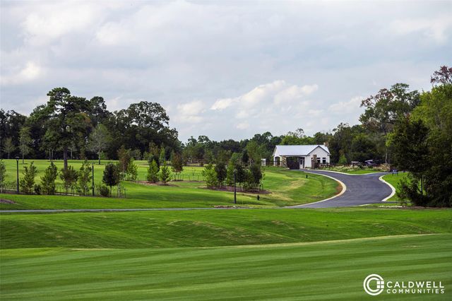 14019 Hawk Vista Court, Willis, TX 77318