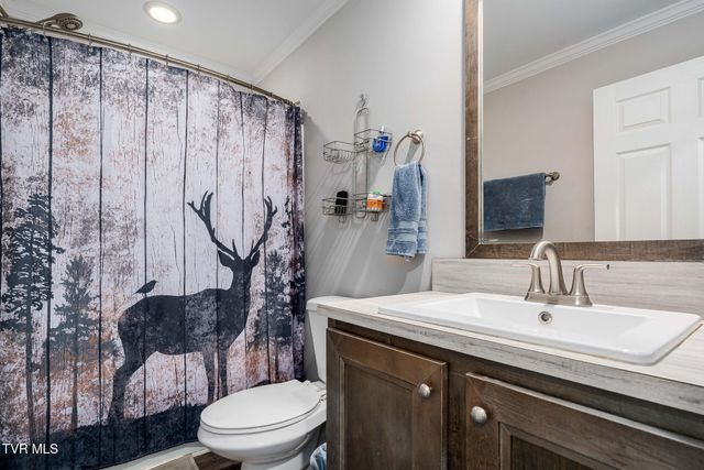 3146 Divide Road, Mountain City, TN 37683