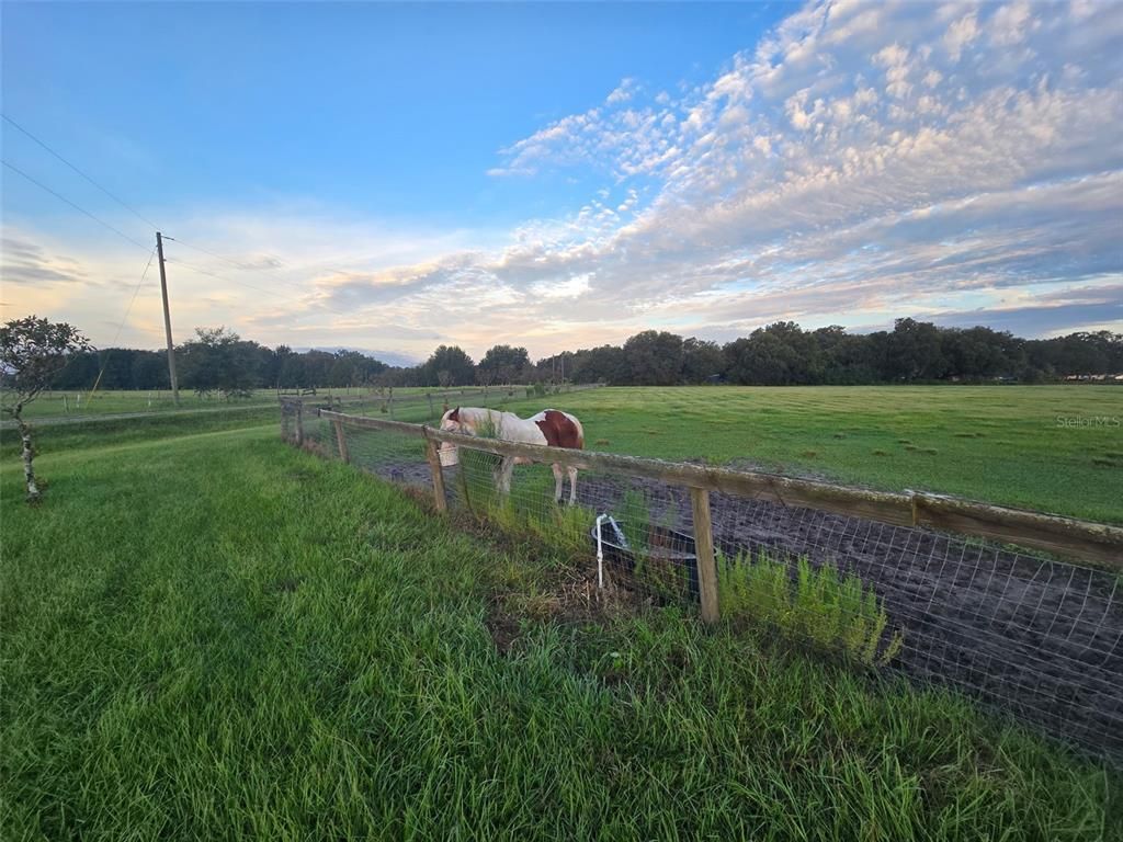 9233 SE 12TH DRIVE, Webster, FL 33597