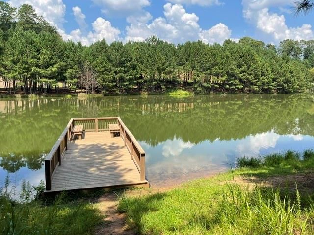 201 Providence Lane, Canton, GA 30114