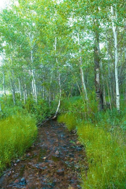 31420 Hwy 324, Dillon, MT 59725 photo 11