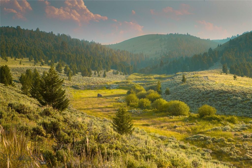 31420 Hwy 324, Dillon, MT 59725 photo 12