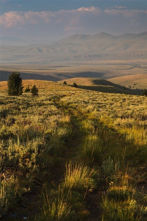 31420 Hwy 324, Dillon, MT 59725 photo 14