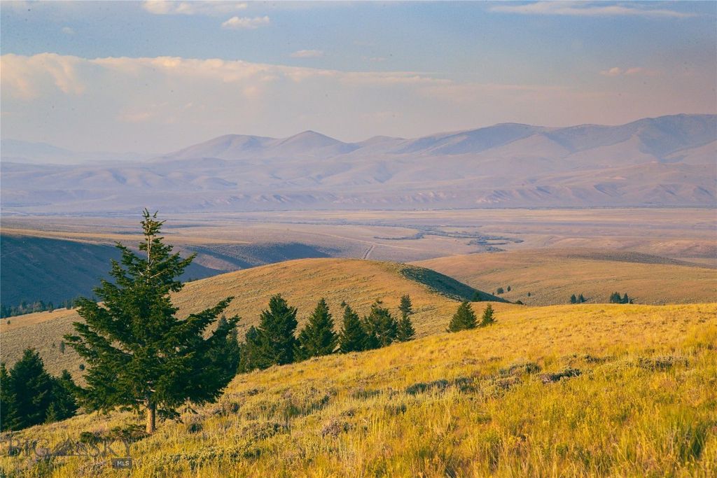 31420 Hwy 324, Dillon, MT 59725 photo 17