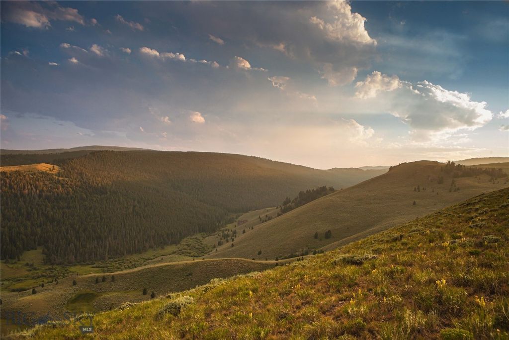 31420 Hwy 324, Dillon, MT 59725 photo 3