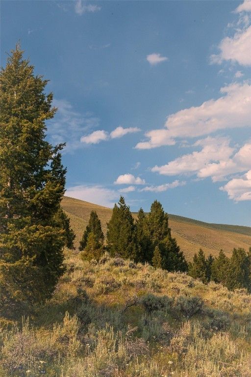 31420 Hwy 324, Dillon, MT 59725 photo 31