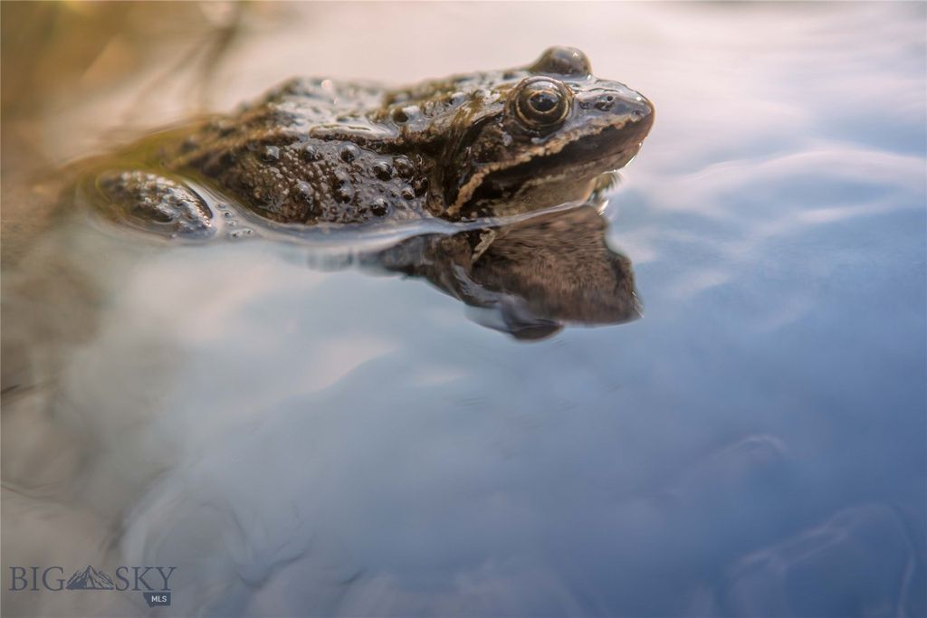 31420 Hwy 324, Dillon, MT 59725 photo 36