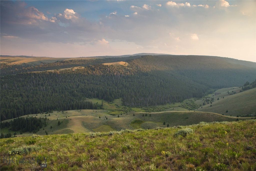 31420 Hwy 324, Dillon, MT 59725 photo 5