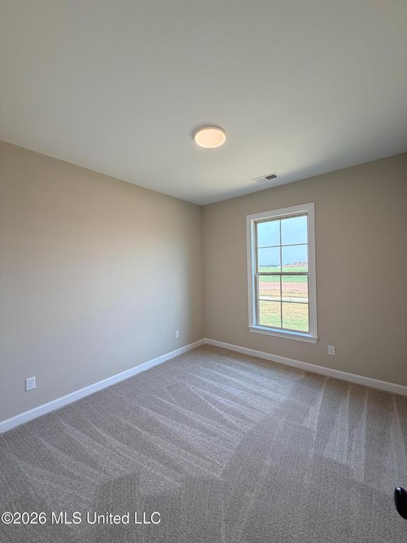 3123 E School Loop Road, Lake Cormorant, MS 38641 — photo 5