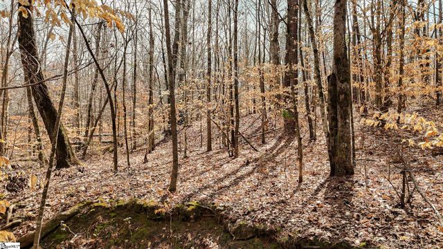 650 Lake Road, Clinton, SC 29325