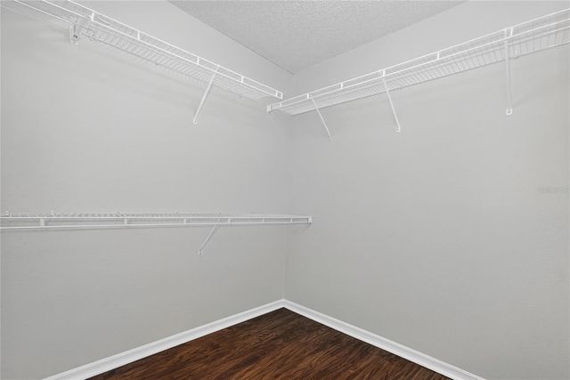 11206 PURPLE PLUM COURT, Orlando, FL 32821