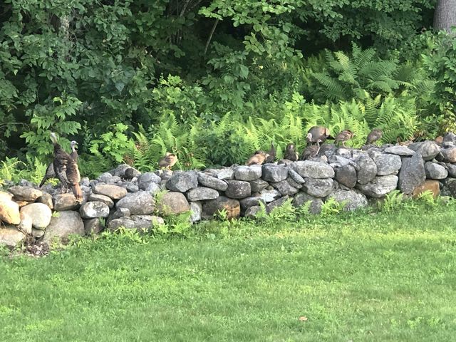 234 Paige Hill Road, Goffstown, NH 03045