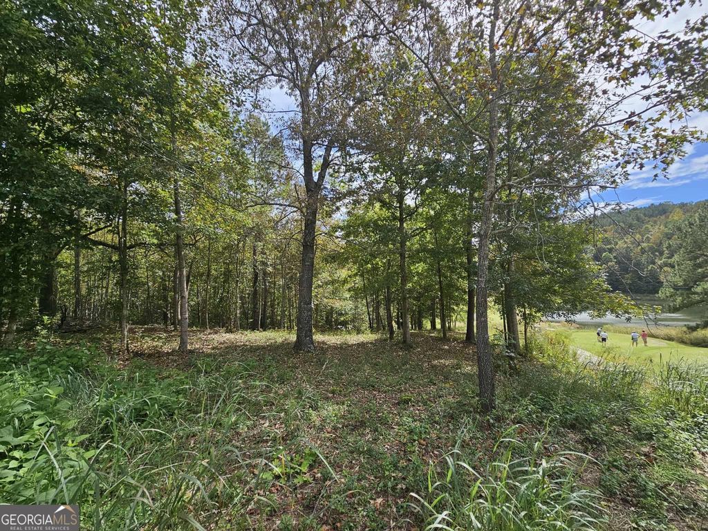 42 Lookout Point, Toccoa, GA 30577 — exterior