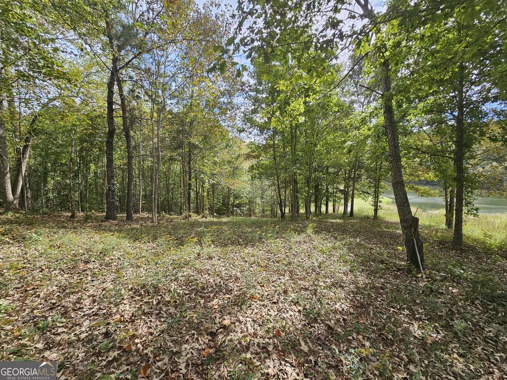 42 Lookout Point, Toccoa, GA 30577 — photo 2