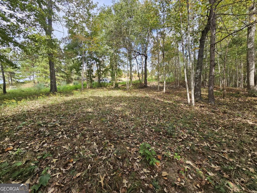 42 Lookout Point, Toccoa, GA 30577 — photo 5