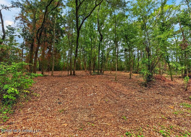 Bellview Avenue, Moss Point, MS 39563
