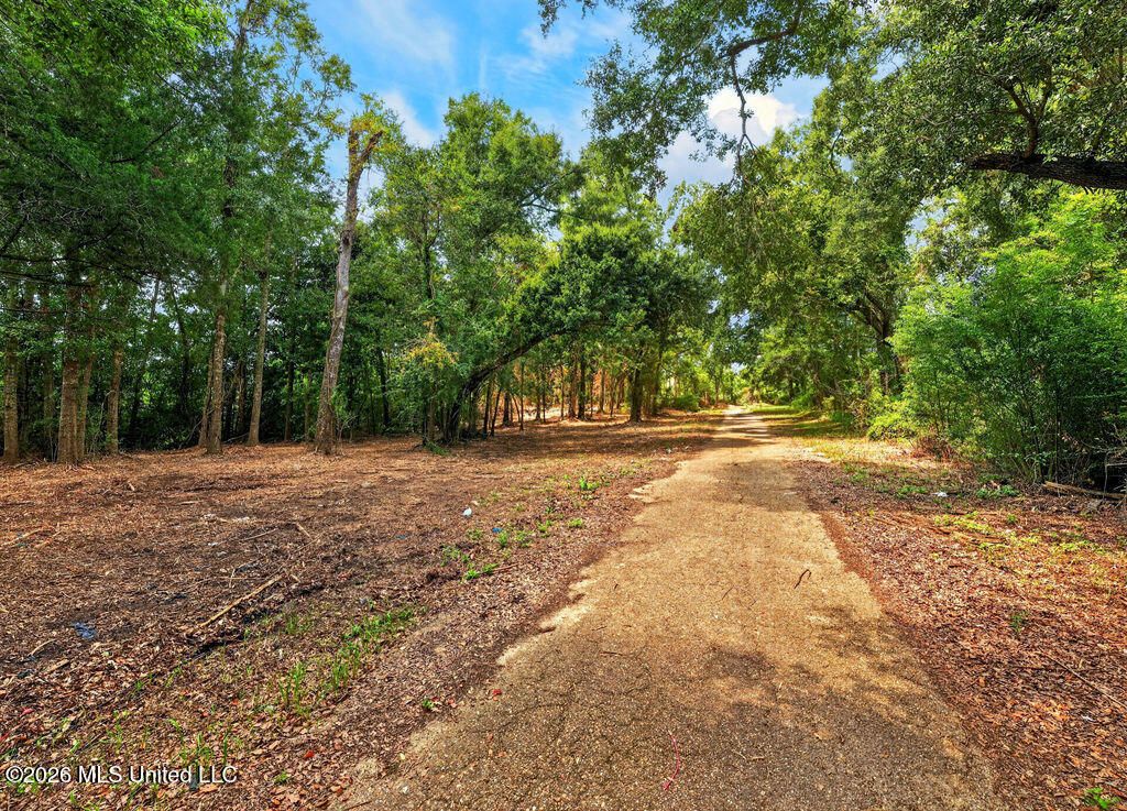 Bellview Avenue, Moss Point, MS 39563