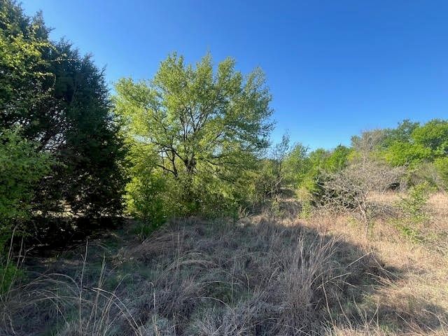 207 Morning Dove Court, Cresson, TX 76035