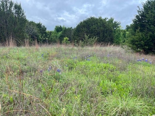 207 Morning Dove Court, Cresson, TX 76035