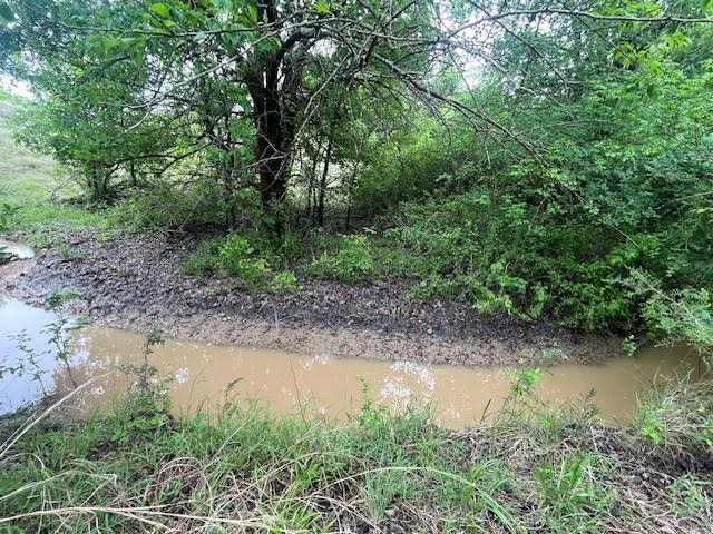 207 Morning Dove Court, Cresson, TX 76035