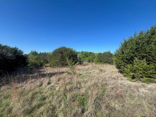 207 Morning Dove Court, Cresson, TX 76035