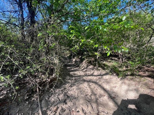 207 Morning Dove Court, Cresson, TX 76035