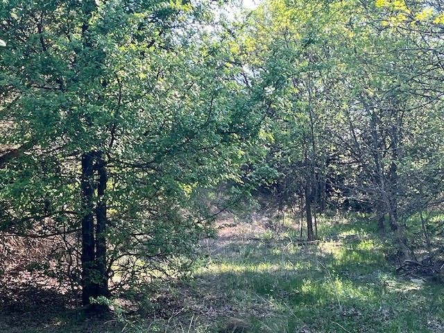 207 Morning Dove Court, Cresson, TX 76035