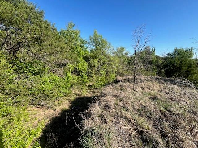 207 Morning Dove Court, Cresson, TX 76035