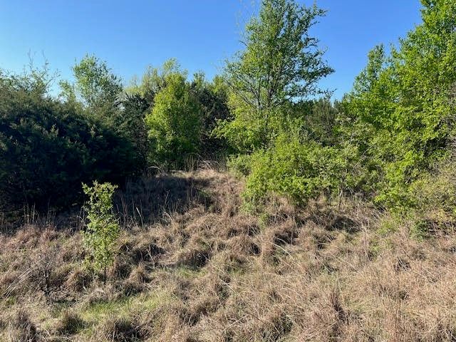 207 Morning Dove Court, Cresson, TX 76035