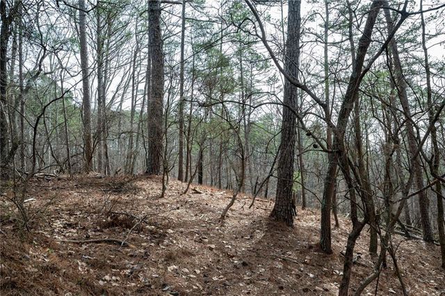 00 Red Top Mountain Road, Cartersville, GA 30121