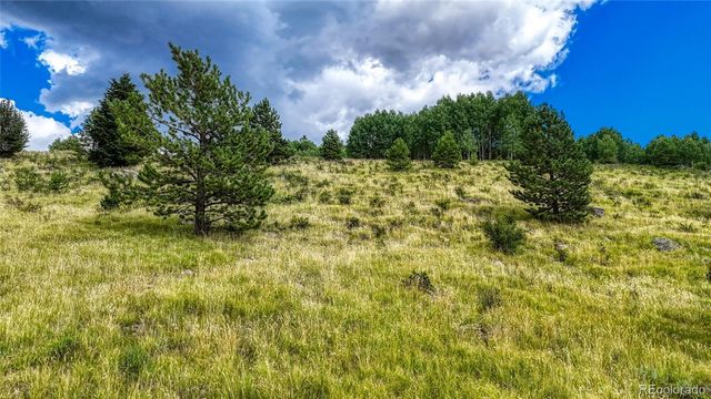 972 Anges Drive, Cripple Creek, CO 80813