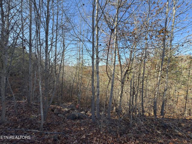 527 Enclave Way, Kingston, TN 37763