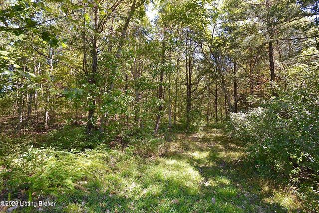 17603 Three Girls Way, Fisherville, KY 40023