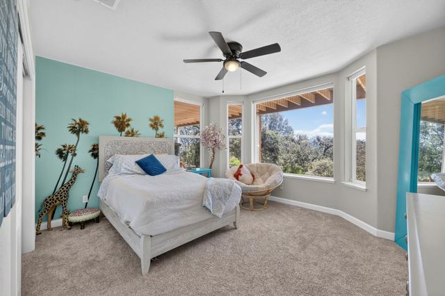 4207 Bearpaw Ct, Rescue, CA 95672