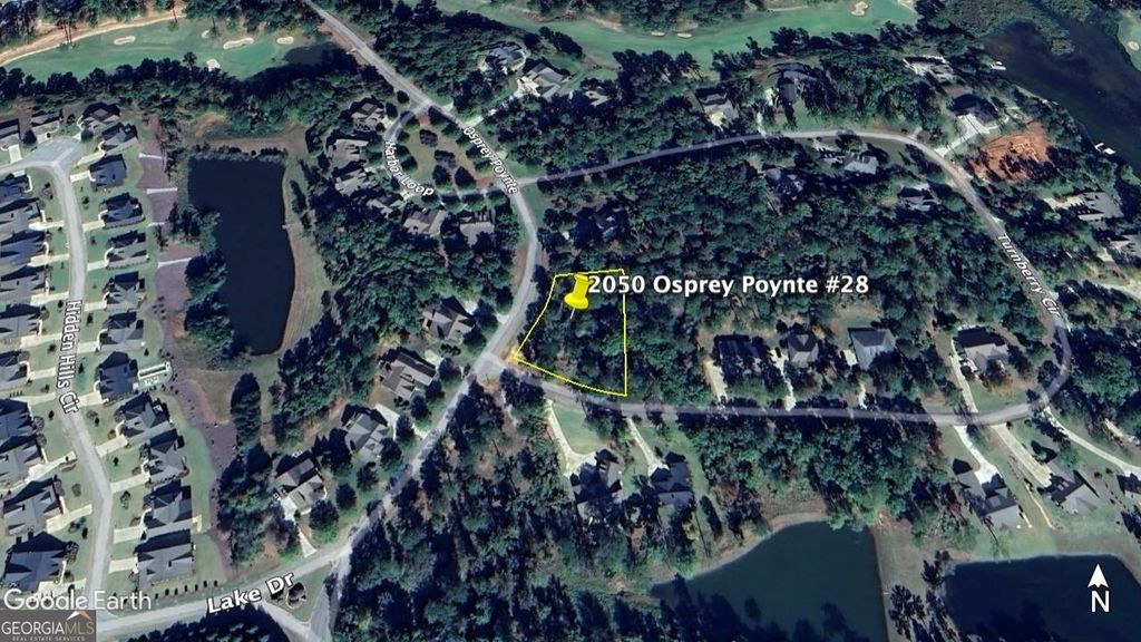 2050 Osprey Poynte, Greensboro, GA 30642