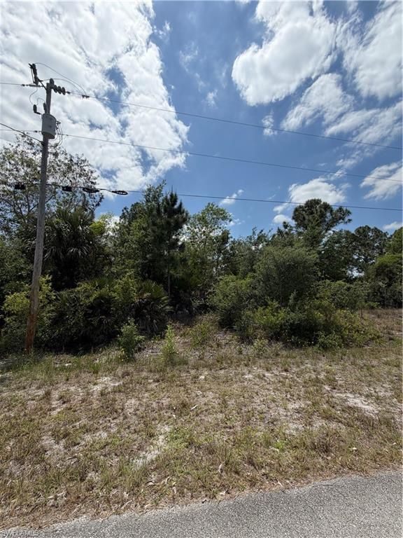 662 Chemstrand ST E, LEHIGH ACRES, FL 33974 — photo 2