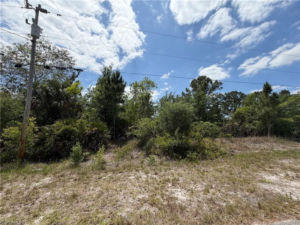 662 Chemstrand ST E, LEHIGH ACRES, FL 33974 — photo 3