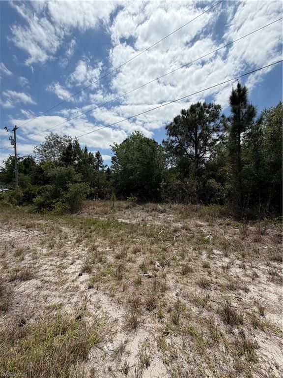 662 Chemstrand ST E, LEHIGH ACRES, FL 33974 — photo 4