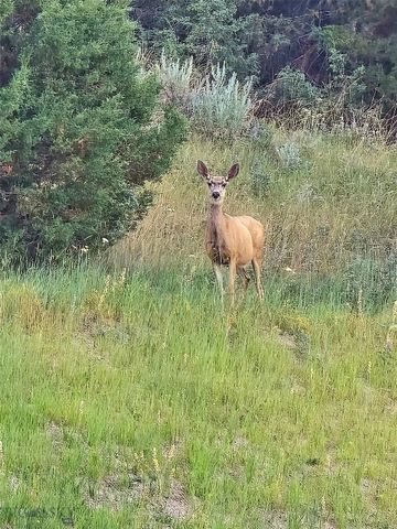 478 Pacer Landing, Manhattan, MT 59741