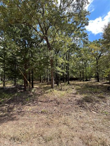 308 Navajo Trail, West Tawakoni, TX 75474