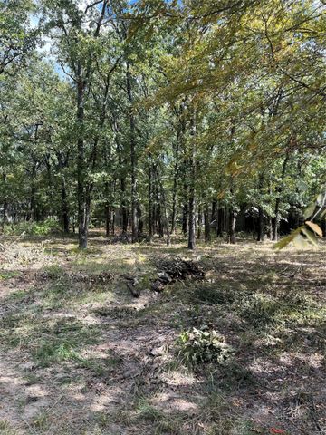 308 Navajo Trail, West Tawakoni, TX 75474