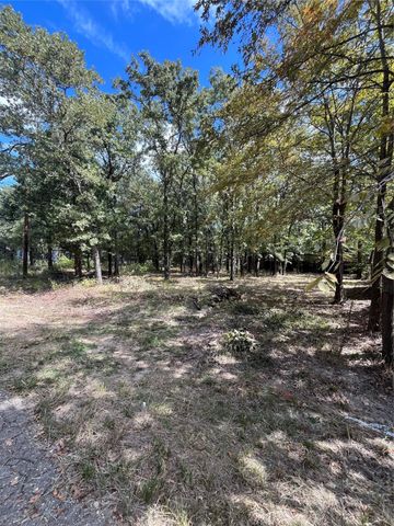 308 Navajo Trail, West Tawakoni, TX 75474