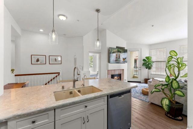 446 Carmel Creeper Pl., Encinitas, CA 92024