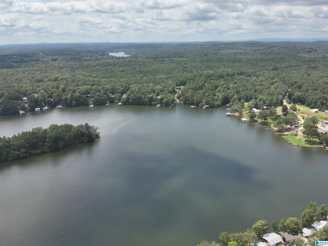 2427 COUNTY ROAD 256, Wedowee, AL 36278