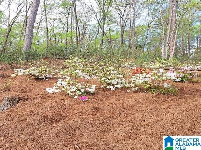 2427 COUNTY ROAD 256, Wedowee, AL 36278